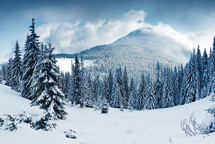 Winter im Bayerischen Wald